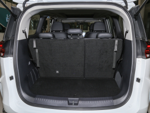 2021PLUS 1.5T ԄѲ g