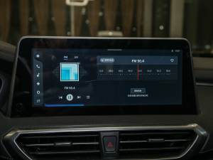 2021PLUS 1.5T ԄѲ {(dio)(ji)