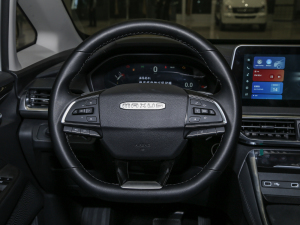 2021PLUS 1.5T ԄѲ P