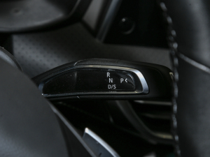 2021PLUS 1.5T ԄѲ QU