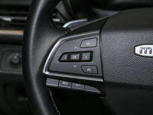 2021PLUS 1.5T ԄѲ п؅^