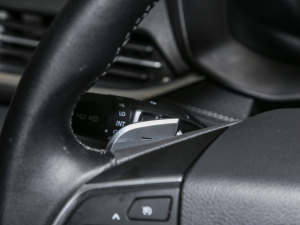 2021PLUS 1.5T ԄѲ п؅^