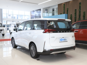 2021PLUS 1.5T Ԅú 45