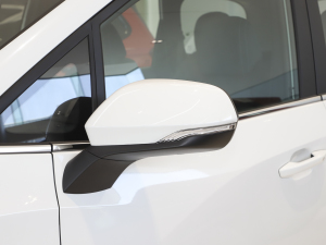 2021PLUS 1.5T Ԅú ҕR