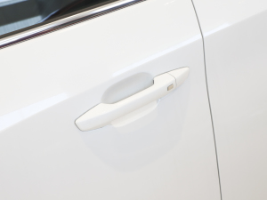 2021PLUS 1.5T Ԅú {T