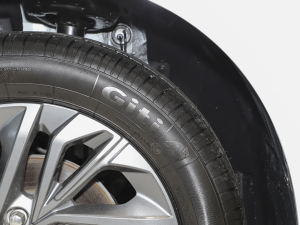 2021PLUS 1.5T Ԅú ݆̥Ʒ