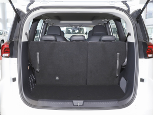 2021PLUS 1.5T Ԅú g