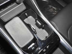 2021PLUS 1.5T Ԅú ǰű