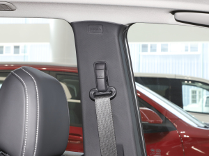 2021��PLUS 1.5T �Ԅ��ú��� ���g����