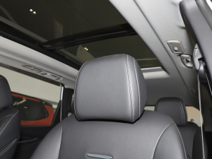 2021��PLUS 1.5T �Ԅ��ú��� ���g����