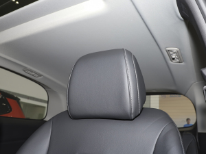 2021��PLUS 1.5T �Ԅ��ú��� ���g����