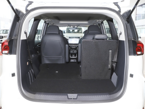 2021��PLUS 1.5T �Ԅ��ú��� ���g����