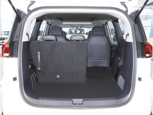 2021PLUS 1.5T Ԅú g