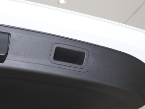 2021PLUS 1.5T Ԅú g