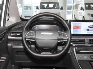 2021PLUS 1.5T Ԅú P