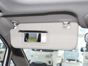 2021PLUS 1.5T Ԅú ꖰ壨