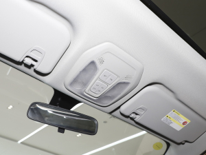 2021PLUS 1.5T Ԅú п؅^