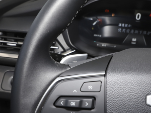 2021PLUS 1.5T Ԅú п؅^