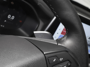 2021PLUS 1.5T Ԅú п؅^