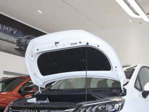 2021PLUS 1.5T Ԅú lәCœ