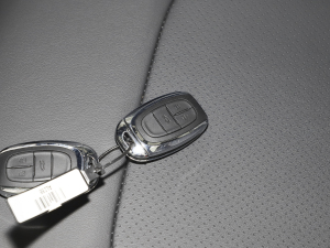 2021PLUS 1.5T Ԅú ܇耳