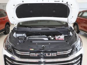 2021PLUS 1.5T Ԅú lәC