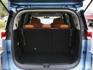 2021PLUS 1.5T Ԅȫ g