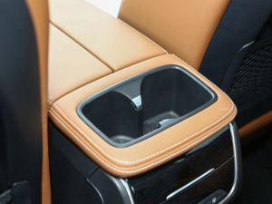 2021PLUS 1.5T Ԅȫ g