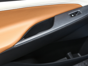 2021PLUS 1.5T Ԅȫ g