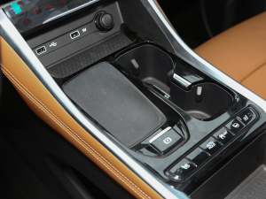 2021PLUS 1.5T Ԅȫ g