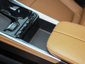 2021PLUS 1.5T Ԅȫ g