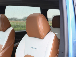 2021PLUS 1.5T Ԅȫ g