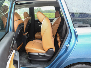 2021PLUS 1.5T Ԅȫ g