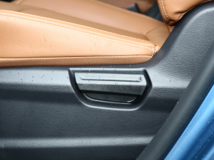 2021PLUS 1.5T Ԅȫ g