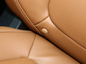 2021PLUS 1.5T Ԅȫ g