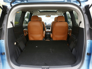 2021PLUS 1.5T Ԅȫ g