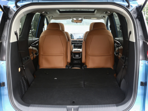 2021PLUS 1.5T Ԅȫ g