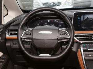 2021PLUS 1.5T Ԅȫ P