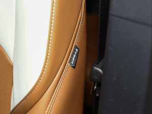 2021PLUS 1.5T Ԅ(dng)ȫ п؅^(q)