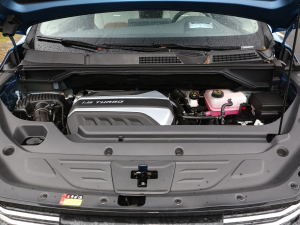 2021PLUS 1.5T Ԅȫ lәC