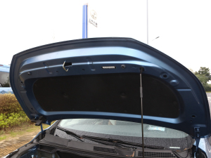 2021PLUS 1.5T Ԅȫ lәCœ