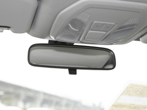 20211.5T քӕA ܇ȺҕR