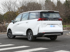 2021PLUS 1.5T Ԅm 45