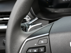 2021PLUS 1.5T Ԅm п؅^(q)