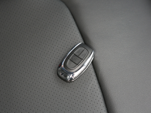 2021PLUS 1.5T Ԅm ܇耳