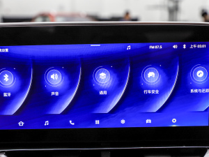 2021款双增压 2.0T 自动四驱豪华型 长箱 中控区