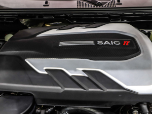 2021款双增压 2.0T 自动四驱豪华型 长箱 其它