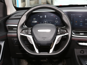2021款单增压 2.0T 自动两驱精英型 长箱 方向盘