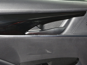 20211.3T PLUG IN LITE+  g