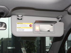 20211.3T PLUG IN LITE+  g